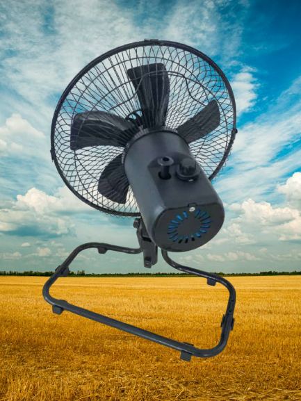 Product 5